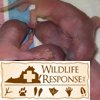 WRI » Babies